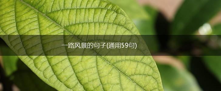 一路风景的句子(通用59句),第1张