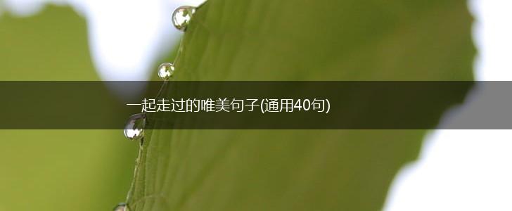 一起走过的唯美句子(通用40句),第1张