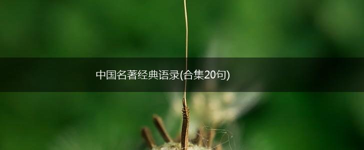 中国名著经典语录(合集20句),第1张