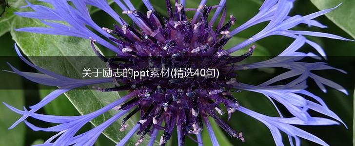 关于励志的ppt素材(精选40句),第1张