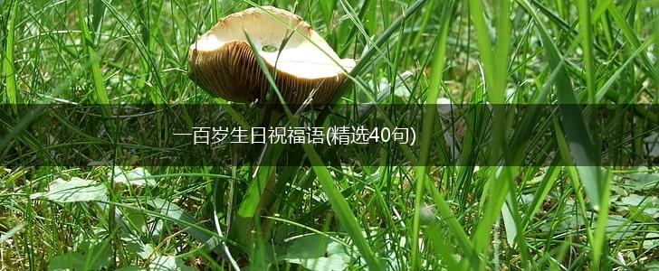 一百岁生日祝福语(精选40句),第1张