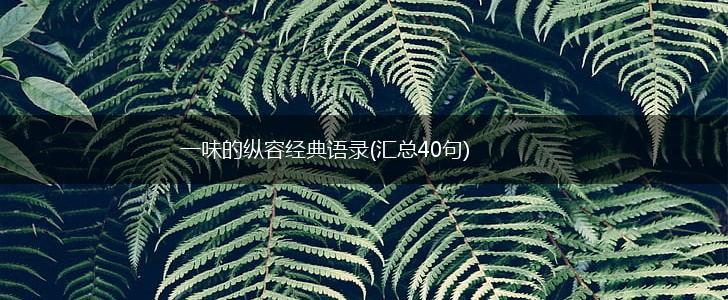 一味的纵容经典语录(汇总40句),第1张