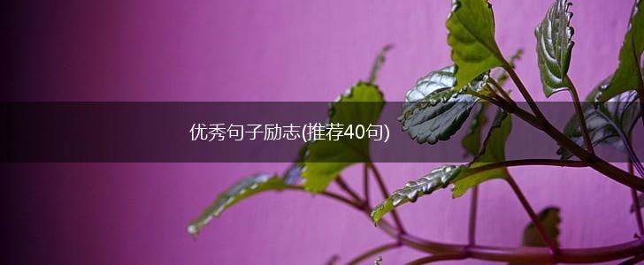 优秀句子励志(推荐40句),第1张