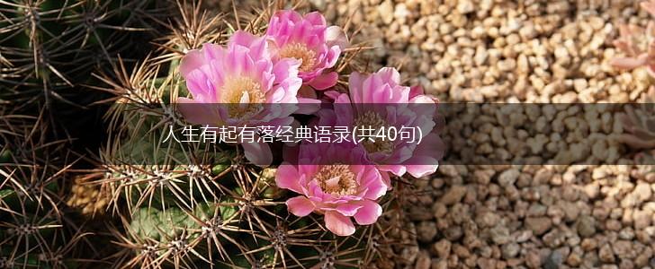 人生有起有落经典语录(共40句),第1张