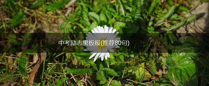 中考励志黑板报(推荐80句),第1张
