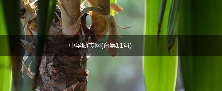 中华励志网(合集11句),第1张
