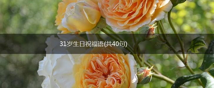31岁生日祝福语(共40句),第1张
