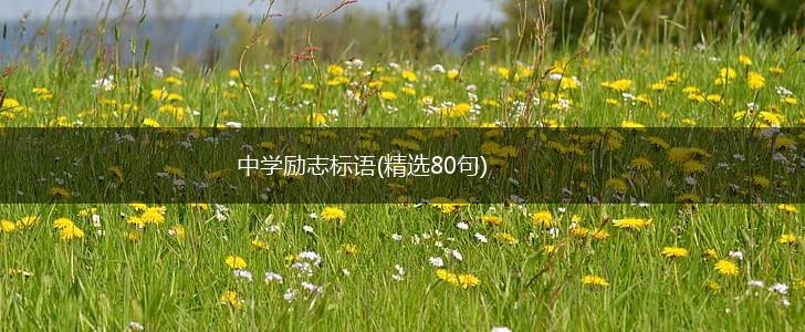 中学励志标语(精选80句),第1张