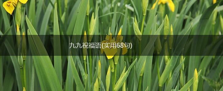 九九祝福语(实用68句),第1张
