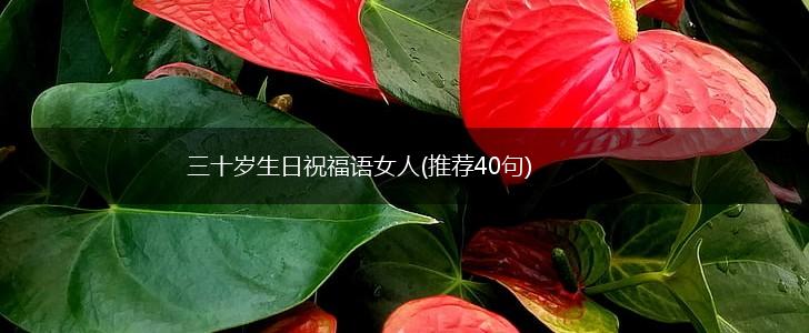 三十岁生日祝福语女人(推荐40句),第1张
