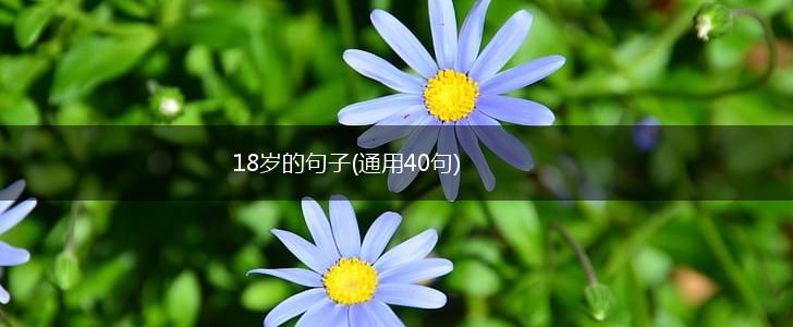 18岁的句子(通用40句),第1张