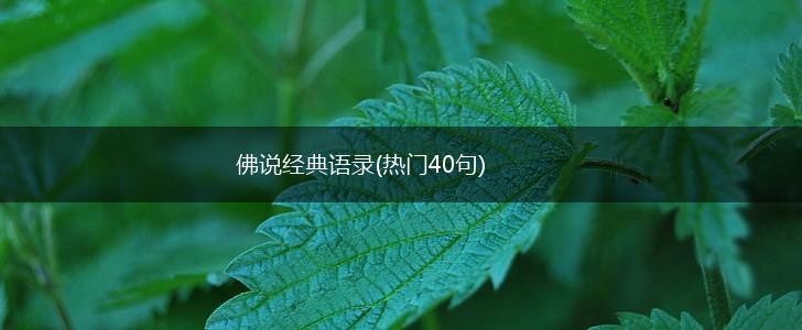 佛说经典语录(热门40句),第1张