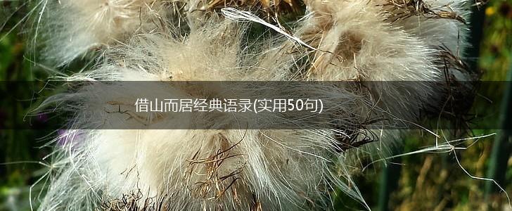 借山而居经典语录(实用50句),第1张