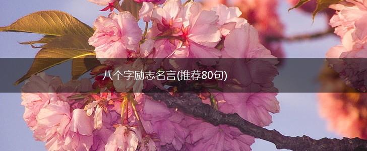 八个字励志名言(推荐80句),第1张