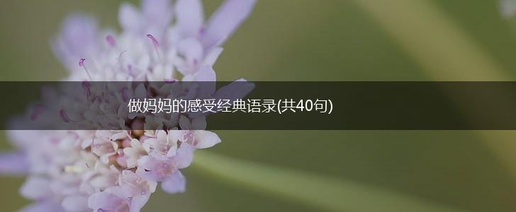 做妈妈的感受经典语录(共40句),第1张