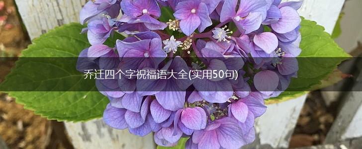 乔迁四个字祝福语大全(实用50句),第1张
