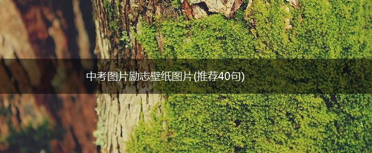 中考图片励志壁纸图片(推荐40句),第1张
