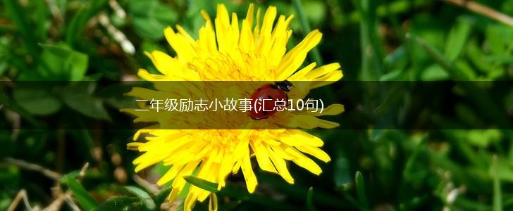 二年级励志小故事(汇总10句),第1张