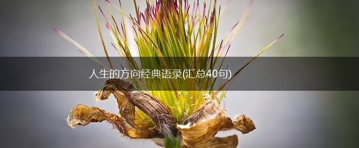 人生的方向经典语录(汇总40句),第1张