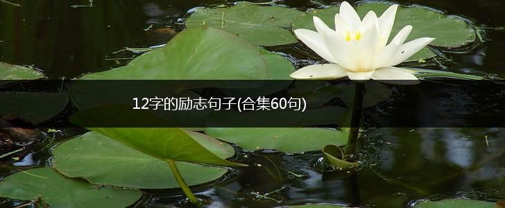 12字的励志句子(合集60句),第1张