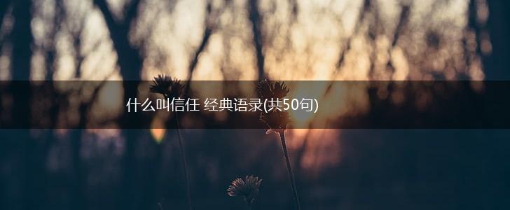什么叫信任 经典语录(共50句),第1张