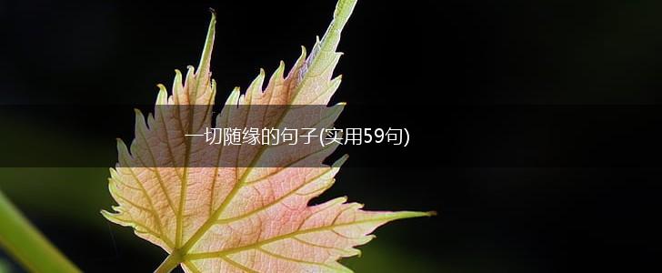 一切随缘的句子(实用59句),第1张