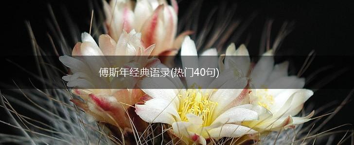 傅斯年经典语录(热门40句),第1张