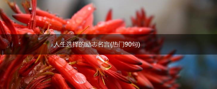 人生选择的励志名言(热门90句),第1张