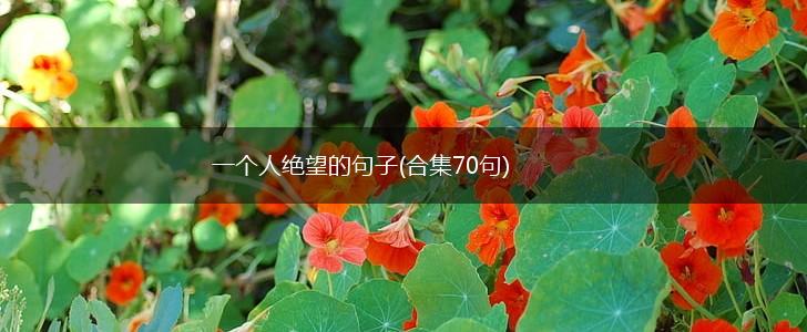 一个人绝望的句子(合集70句),第1张
