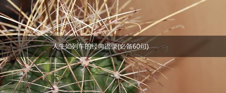 人生如列车的经典语录(必备60句),第1张