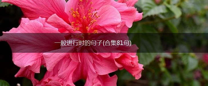 一般进行时的句子(合集81句),第1张