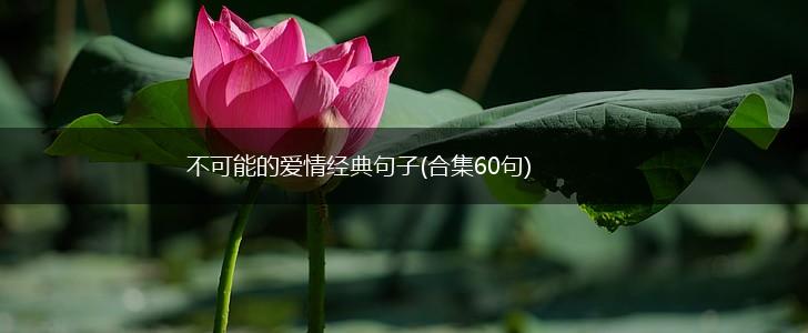不可能的爱情经典句子(合集60句),第1张