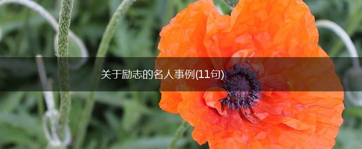 关于励志的名人事例(11句),第1张