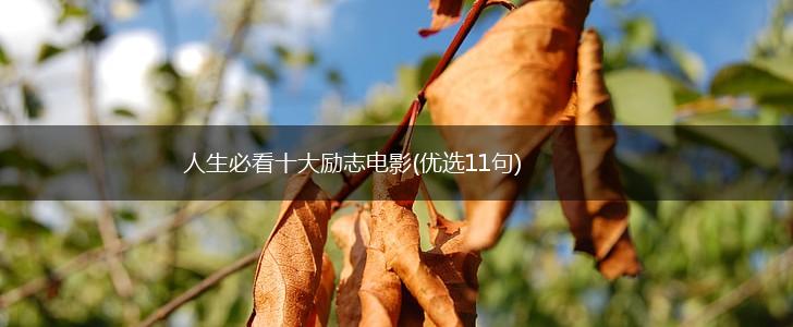 人生必看十大励志电影(优选11句),第1张