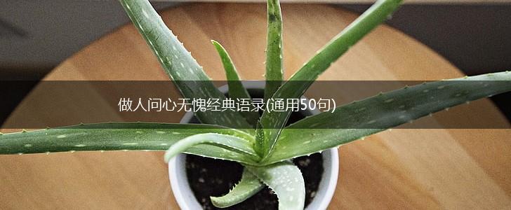 做人问心无愧经典语录(通用50句),第1张