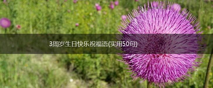 3周岁生日快乐祝福语(实用50句),第1张