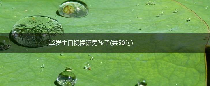 12岁生日祝福语男孩子(共50句),第1张