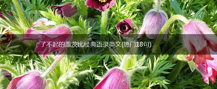 了不起的盖茨比经典语录英文(热门18句),第1张
