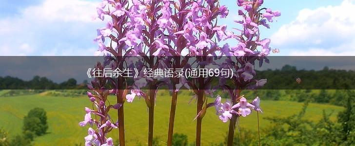 《往后余生》经典语录(通用69句),第1张