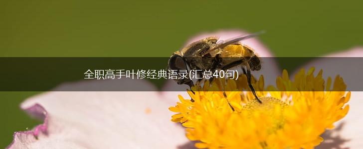 全职高手叶修经典语录(汇总40句),第1张