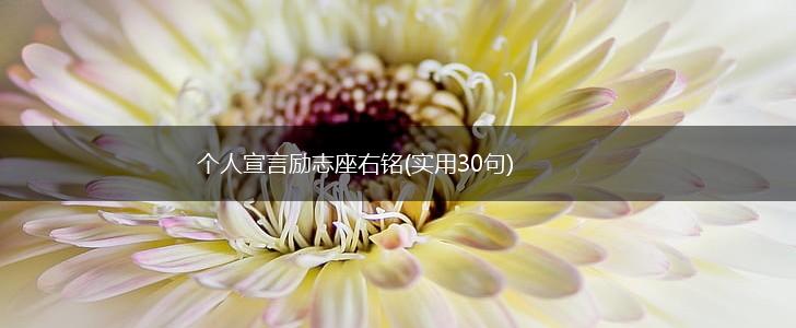个人宣言励志座右铭(实用30句),第1张