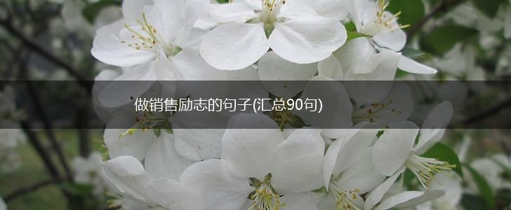 做销售励志的句子(汇总90句),第1张
