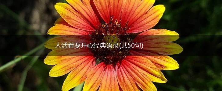 人活着要开心经典语录(共50句),第1张