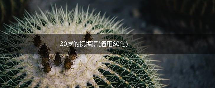 30岁的祝福语(通用60句),第1张