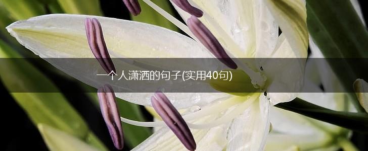一个人潇洒的句子(实用40句),第1张