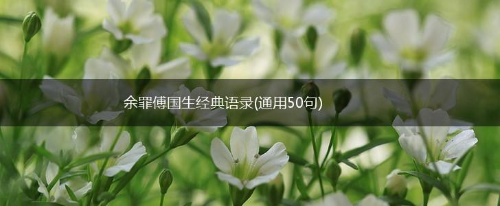 余罪傅国生经典语录(通用50句),第1张