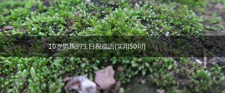 10岁男孩的生日祝福语(实用50句),第1张