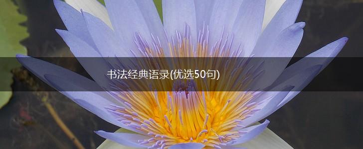 书法经典语录(优选50句),第1张