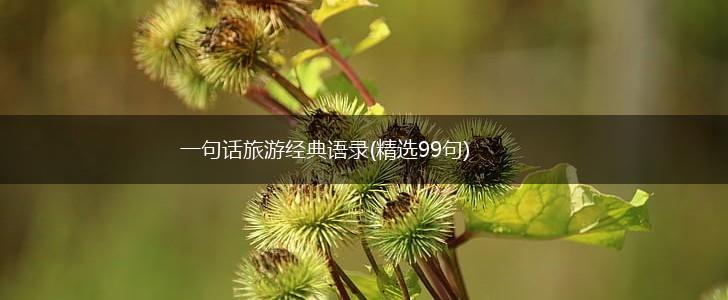 一句话旅游经典语录(精选99句),第1张