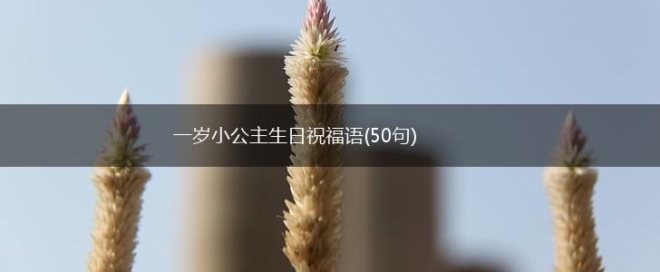一岁小公主生日祝福语(50句),第1张